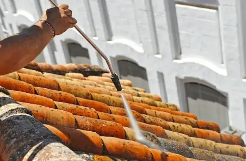 Nettoyage de toitures - Gontaud de Nogaret